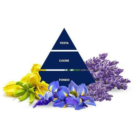 Midnight Blue Felce Azzurra Air Freshener Home Fragrances Lavender & Iris 250ml